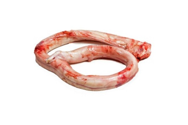 Frozen Veal Pizzle - BRASIL GOURMET INDUSTRIA E COMERCIO ALIMENTOS S.A.